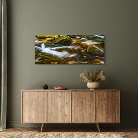 Tablou cu părâu (120x50 cm)