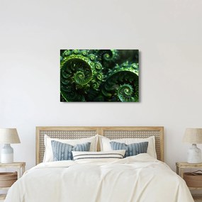Tablou - Spirale (90x60 cm)