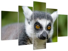Tablou cu lemur (150x105 cm)