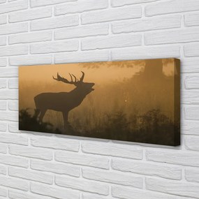 Tablouri canvas Sunrise Deer