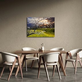 Tablou - Peisaj cu pomul înflorit (70x50 cm)