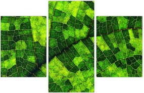Tablou - Detaliu frunze (90x60 cm)