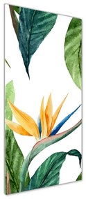 Tablou pe pe sticlă Strelitzia reginae