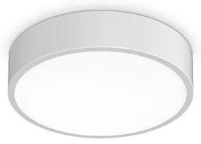 Plafoniera LED pentru baie IP44 Ray pl d30 alb
