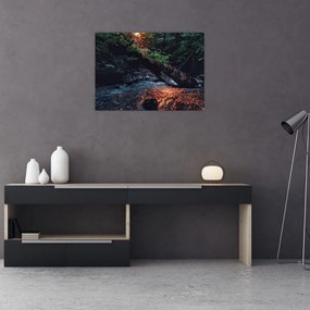 Tablou cu râu montan (70x50 cm), în 40 de alte dimensiuni noi