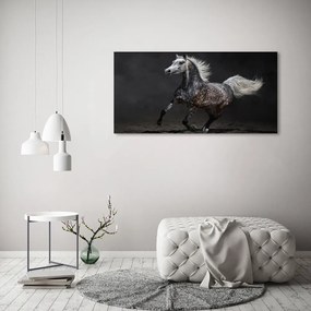 Tablou pe acril Cal arab gray