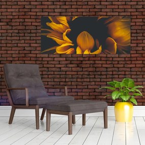 Tablou - Floarea-soarelui în fundal negru (120x50 cm)