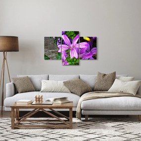 Tablou -flori de câmp (90x60 cm)