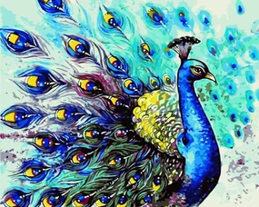Pictura pe numere cu un cadru "Păun 2" 50x40 cm