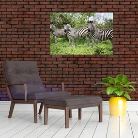 Tablou cu zebre (90x60 cm)