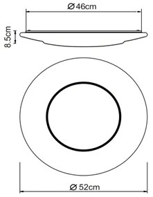 Globo 48311-24 - Plafonier LED CANDIDA LED/24W/230V