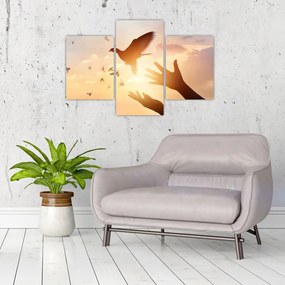 Tablou - Porumbițo, zboară! (90x60 cm)