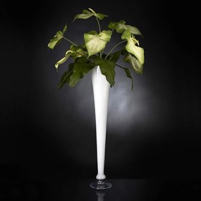 Aranjament floral elegant din anthurium ARRANGEMENT GLAD 1141344.95
