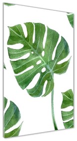 Tablou din Sticlă Monstera