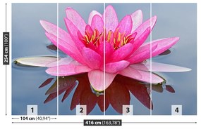 Fototapet Pink Water Lily