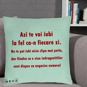 Cadou pentru Iubita - Perna Personalizata Azi Te Voi Iubi, 40x40 cm, Verde Menta, Husa Detasabila, Perna Inclusa, BEKZ®