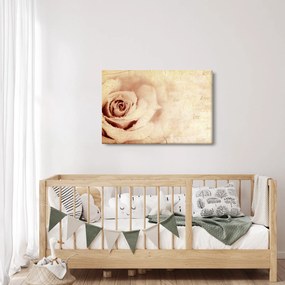 Tablou - floare de trandafir pentru îndrăgostiți (90x60 cm)