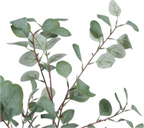 Eucalipt artificial (înălțime 180 cm) Eucalyptus – Ixia
