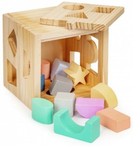 Eco Toys Educativ din lemn cub, introduceți