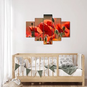 Tablou cu flori de maci (150x105 cm)