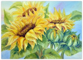Tablou pe sticlă - Floarea soarelui înflorită (70x50 cm)