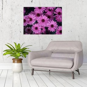 Tablou pe sticlă cu florile roz (70x50 cm)