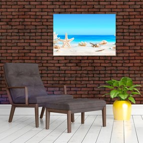 Tablou - Natura morta cu scoici (90x60 cm)