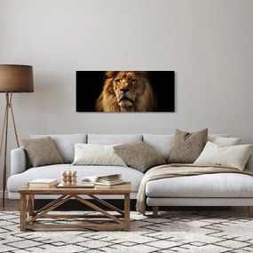 Tablou - Leu cu o coamă bogată (120x50 cm)
