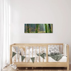 Tablou cu pădure (cu ceas) (90x30 cm)