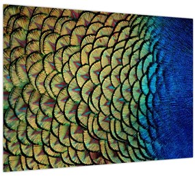 Tablou pe sticlă - Pene de păun (70x50 cm)