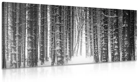 Tablou pădure învăluită cu zăpadă în design alb-negru