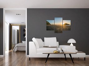 Tablou cu paja (90x60 cm)