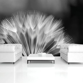 Fototapet - Păpădie (152,5x104 cm)