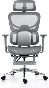 ErgoVanta Mesh — Scaun ergonomic, Suport lombar reglabil, Tetieră 2D, Cotiere reglabile, Mecanism cu blocare, Suport pentru picioare retractabil, Mesh, Gri