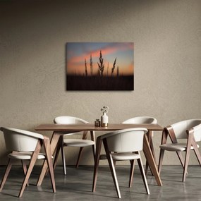Tablou - Silueta plantei (70x50 cm)