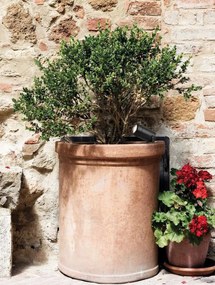 Proiector cu tarus iluminat exterior decorativ IP54 Ravy GU10