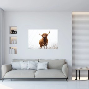 Tablou - Vacă scoțiană (90x60 cm)