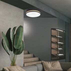 Plafonieră SIRJA STRIPE 4xE27/15W/230V d. 45 cm negru