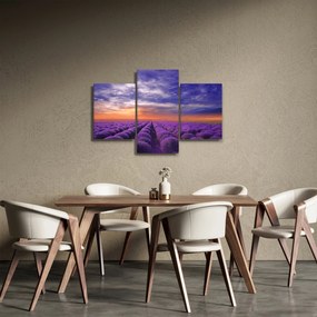 Tablou câmpului cu lavandă (90x60 cm)