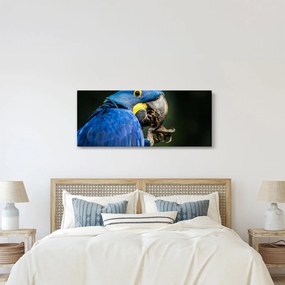 Tablou cu papagal (120x50 cm)