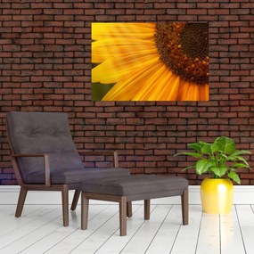 Tablou - Floarea-soarelui (90x60 cm)