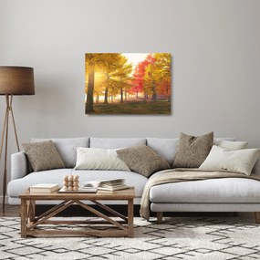 Tablou pe sticlă cu copaci toamna (70x50 cm)
