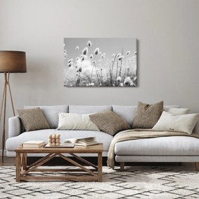 Tablou - Boho iepuraș coadă de iarbă (90x60 cm)