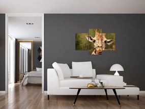 Tablou girafe (90x60 cm)