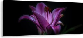 Tablou crinul (120x50 cm)
