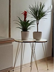 Set masuta de cafea,Seria 440,Homs, 3 buc,20035