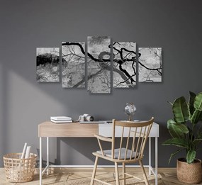 Tablou 5-piese copaci suprarealistici în design alb-negru