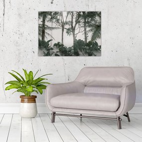 Tablou pe sticlă - Jungla în ceața dimineții (70x50 cm)