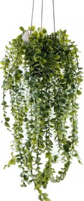 Plantă artificială suspendată Senecio, 60 cm