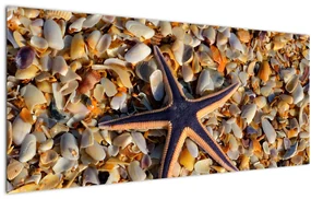 Tablou cu stea de mare (120x50 cm)
